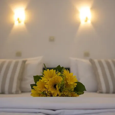 Apart-hotel Frida Chania (Crete)